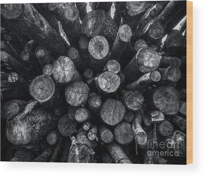 Log Pile Wood Print featuring the photograph A Pile of Logs by James Aiken