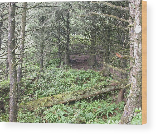 Landscape Wood Print featuring the photograph A Shady Spot by Yvette Pichette