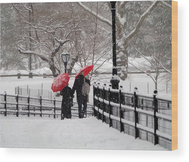 Central Park Wood Print featuring the photograph Winter under Red Umbrellas by Cornelis Verwaal