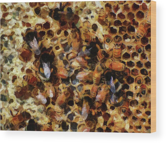 Insect Wood Print featuring the photograph A Sugar Rush by Steve Taylor