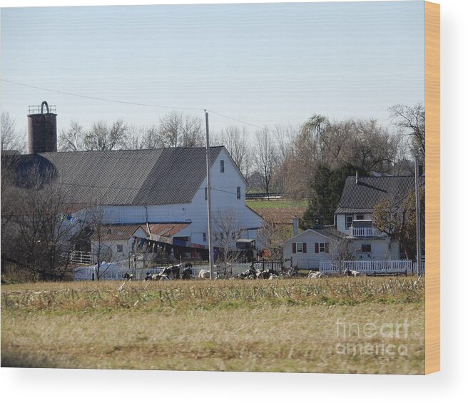 Amish Wood Print featuring the photograph A Sunny November Afternoon by Christine Clark