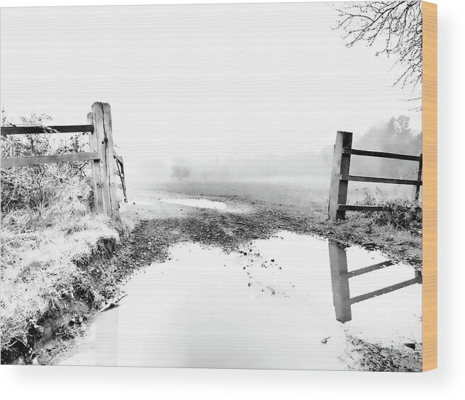 Walk Wood Print featuring the photograph A walk through scorching mists by Christopher Maxum