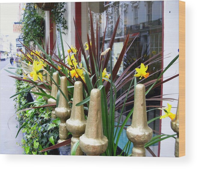 Daffodils Wood Print featuring the photograph A Window of Daffodils in London by Mindy Newman