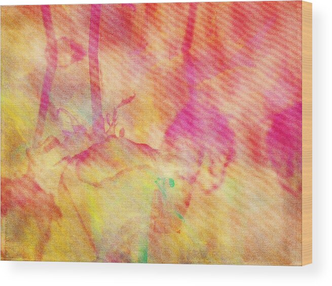 Photography Wood Print featuring the photograph Abstract Photography 003-16 by Mimulux Patricia No