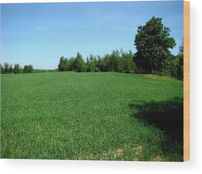 Landscape Wood Print featuring the photograph Adumbration by Todd Zabel