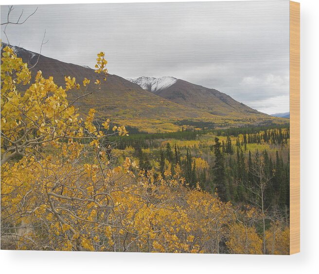 Landscape Of Alaska Wood Print featuring the photograph Alaska Frontier by Kimber Butler