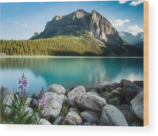 Landscape Wood Print featuring the photograph Alberta's Backyard by Russell Mann