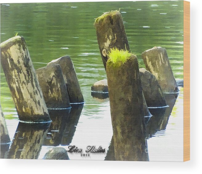 Photoshop Wood Print featuring the photograph All That Remains by Melissa Messick