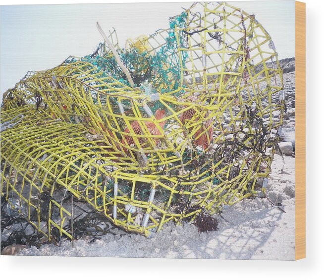 Lobster Pot Wood Print featuring the photograph All washed up by Conor Murphy