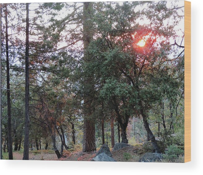 Yosemite Wood Print featuring the photograph Along Glacier Point Road 5 by Eric Forster