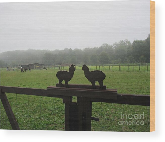 Alpaga Wood Print featuring the photograph Alpaca Farm in Vockerode by Chani Demuijlder