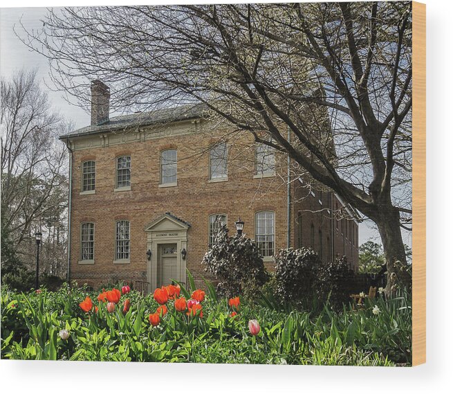 William & Mary Wood Print featuring the photograph Alumni House in Spring by Jerry Gammon