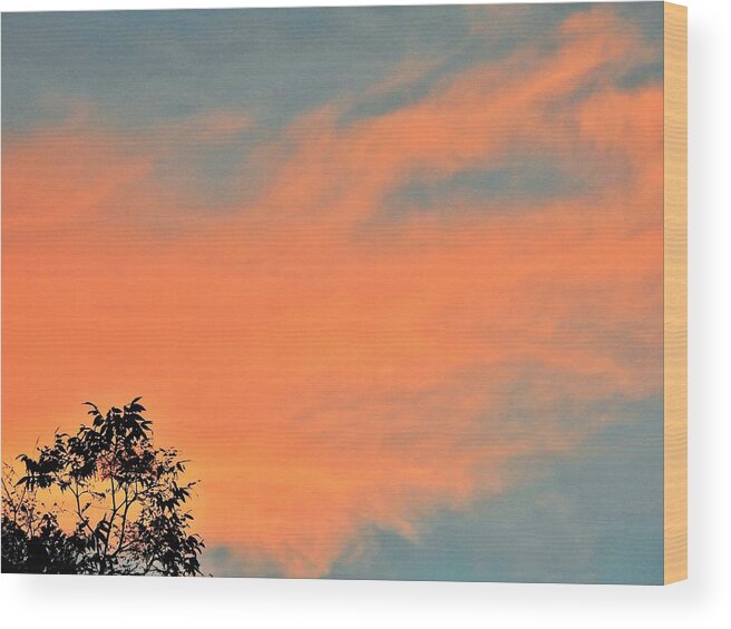 Sky Wood Print featuring the photograph Amazing Peach Sky by Jan Gelders