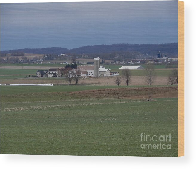 Amish Wood Print featuring the photograph Amish Homestead 125 by Christine Clark