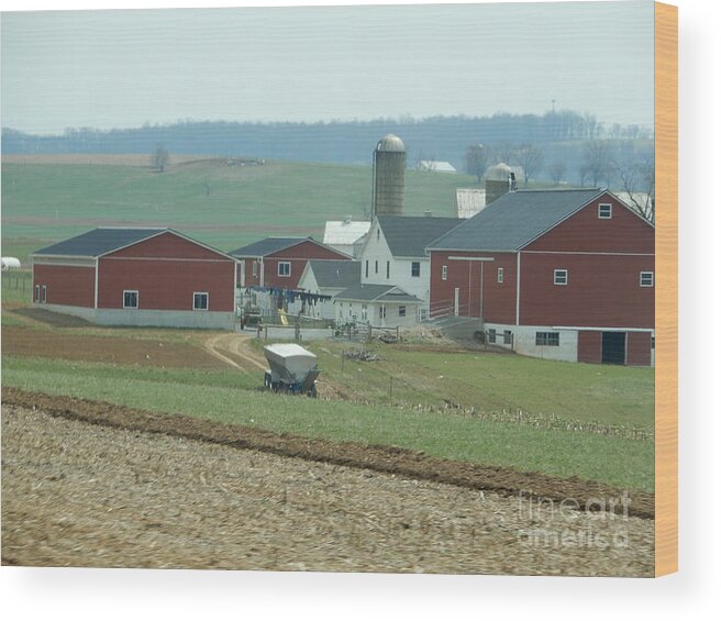 Amish Wood Print featuring the photograph Amish Homestead 6 by Christine Clark