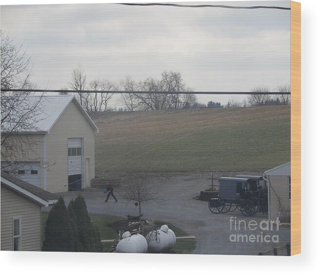 Amish Wood Print featuring the photograph An Evening Game by Christine Clark