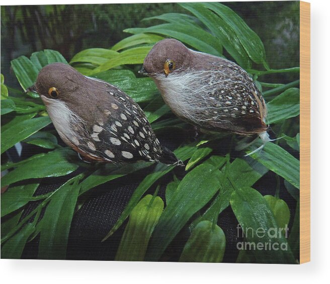 Couple Wood Print featuring the photograph An old couple these two birds by Eva-Maria Di Bella