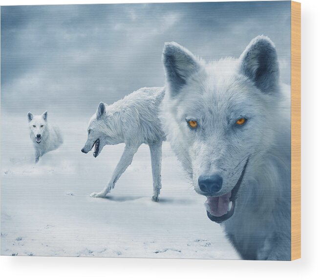 Arctic Wood Print featuring the photograph Arctic Wolves by Mal Bray