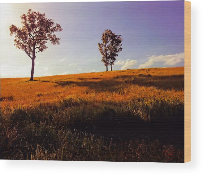 Nature Wood Print featuring the photograph Arfternoon Hills by Michael Blaine