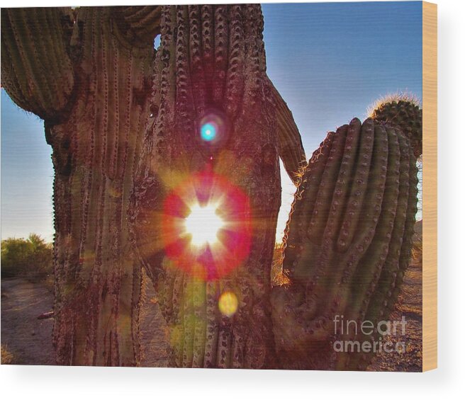 Photograph Wood Print featuring the photograph Arizona Prime Cactus Sunset by Delynn Addams