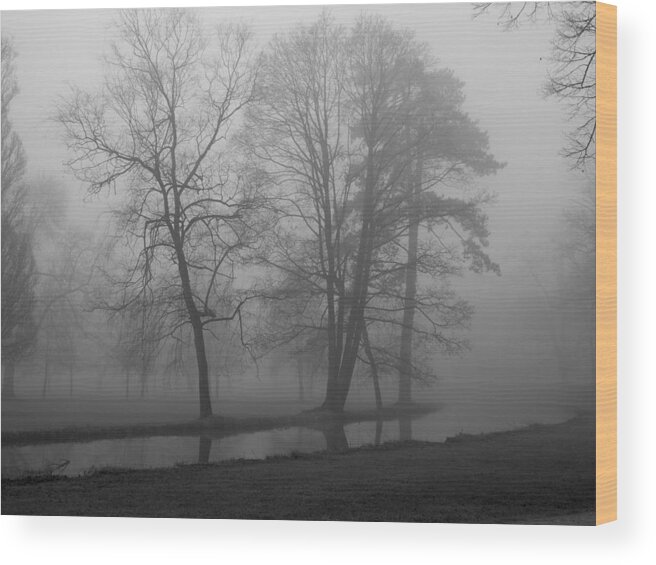 Canal Wood Print featuring the photograph Around the Bend by Jessica Myscofski