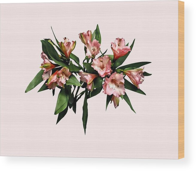 Lily Wood Print featuring the photograph Asiatic Lilies and Leaves by Susan Savad