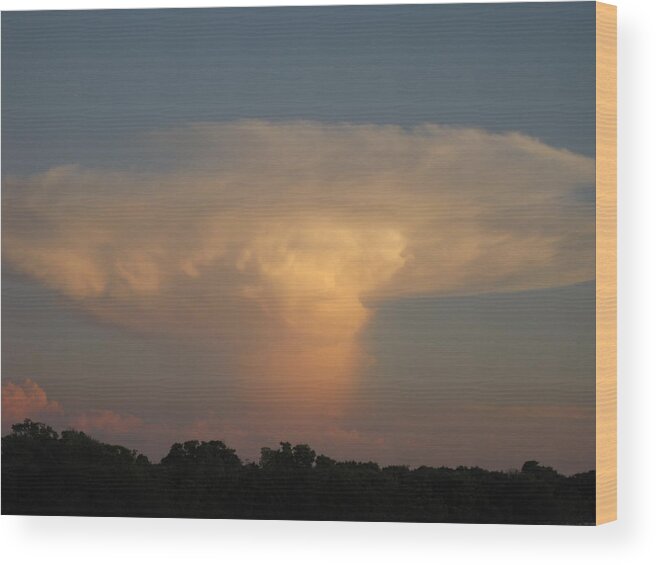  Wood Print featuring the photograph Atomic 2 by Brenda Berdnik