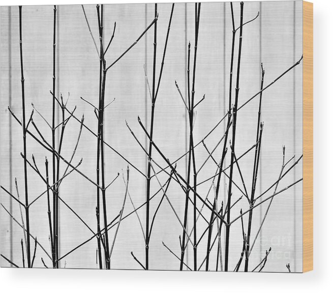 Abstract Wood Print featuring the digital art Autumn Abstract by Jan Gelders