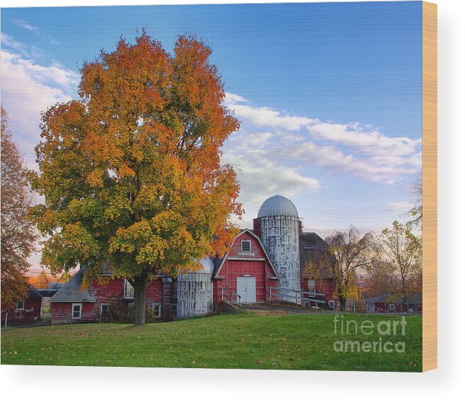 Fall Wood Print featuring the photograph Autumn at Lusscroft Farm by Mark Miller