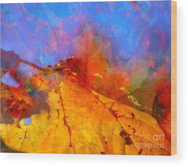 Autumn Wood Print featuring the photograph Autumn Fusion 1 by Jeff Breiman