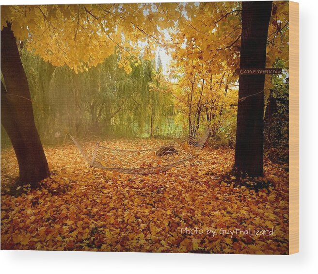 Hammock Wood Print featuring the photograph Autumn Hammock by Guy Hoffman