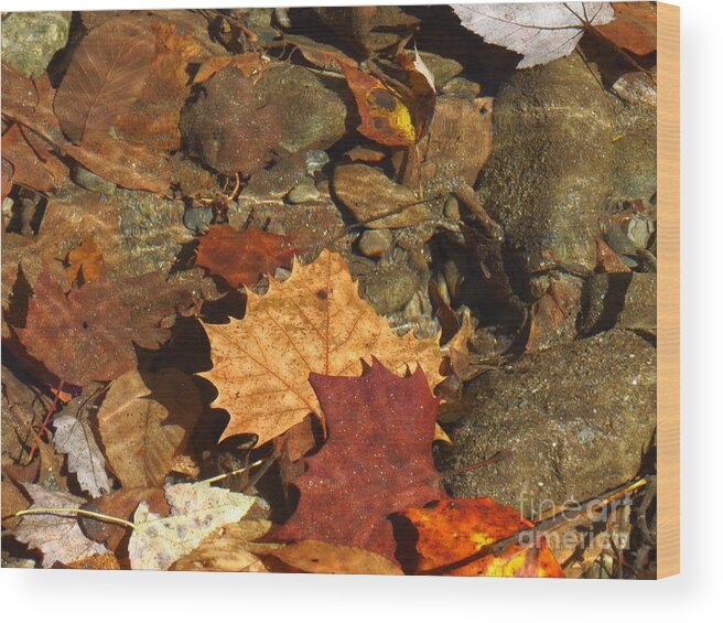 Autumn Leaves Wood Print featuring the photograph Autumn Leaves Under Water by Anita Adams