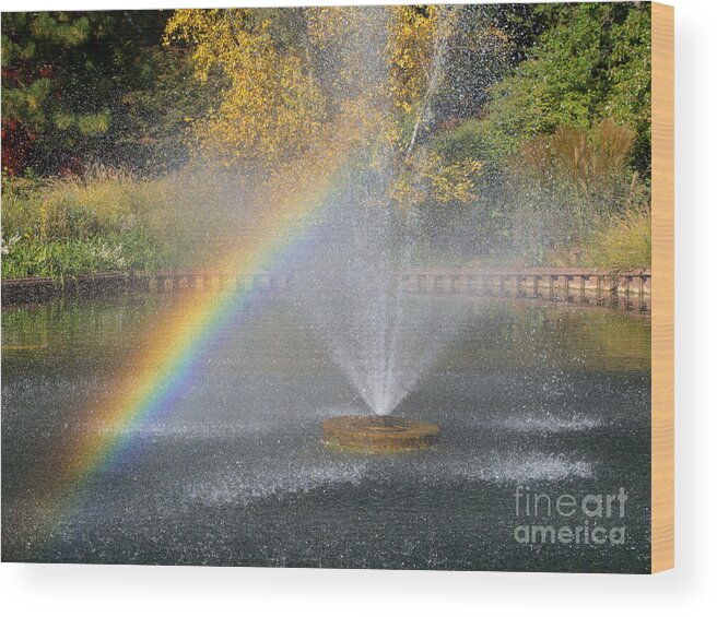 Chicagoland Wood Print featuring the photograph Autumn Rainbow by Ann Horn