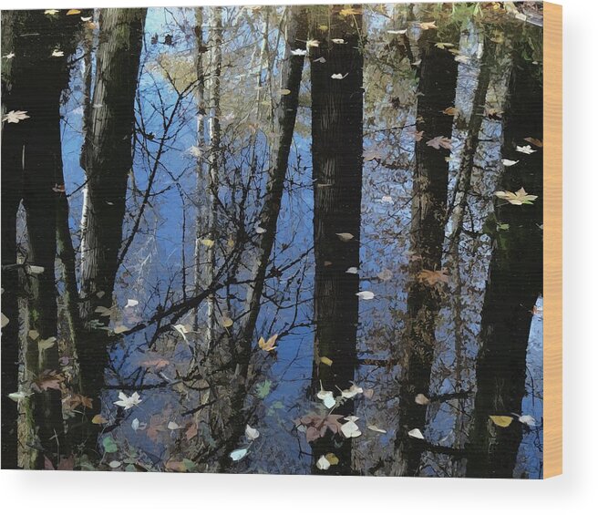 Water Reflections Wood Print featuring the photograph Autumn Signs by I'ina Van Lawick