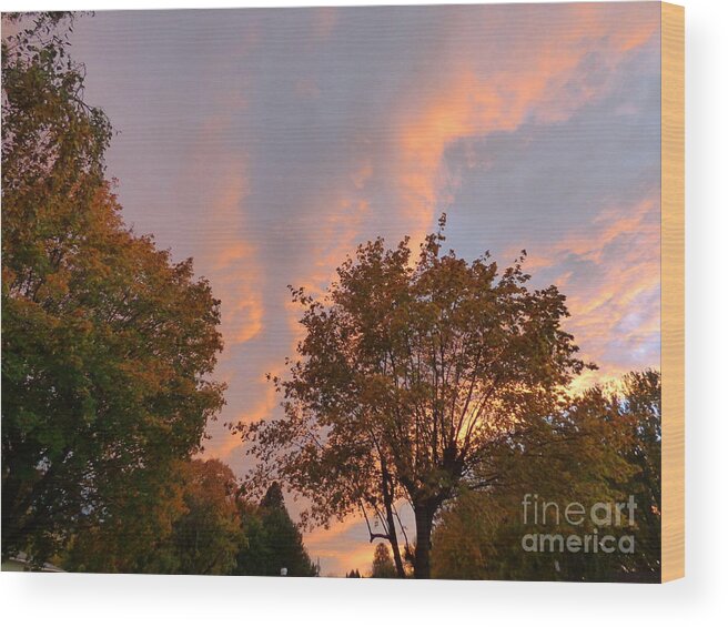 Sunset Wood Print featuring the photograph Autumn Sunset by Charles Robinson