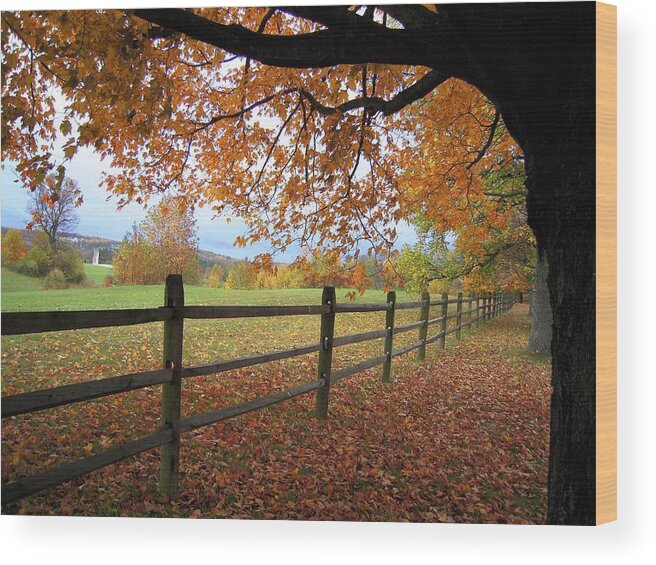 Virginia Wood Print featuring the photograph Autumn Vista by Don Struke