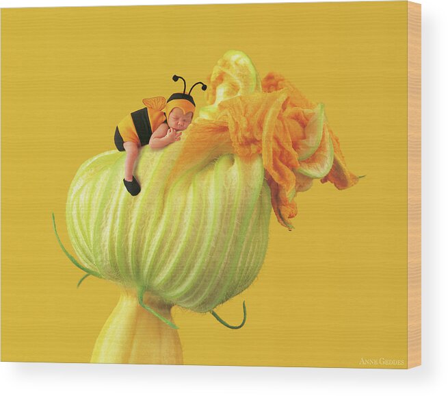 Yellow Wood Print featuring the photograph Baby Bee on a Pumpkin Flower by Anne Geddes