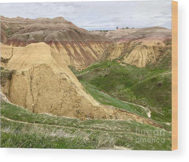 Photography Wood Print featuring the photograph Badlands by Sean Griffin