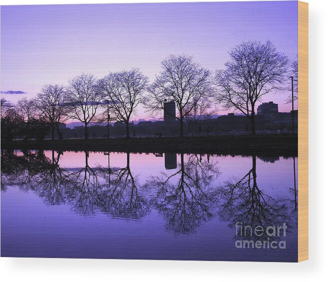 Landscape Wood Print featuring the photograph Bare Tree Reflection by Beth Myer Photography