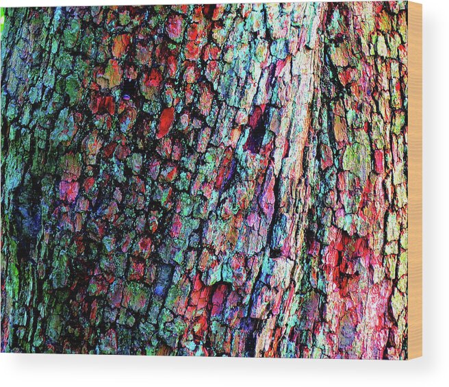 Bark Wood Print featuring the photograph Bark by Linda Stern
