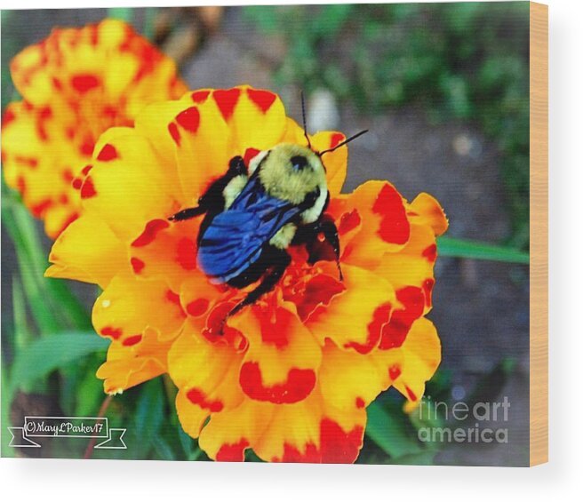 Photograph Wood Print featuring the photograph Bee Happy  by MaryLee Parker