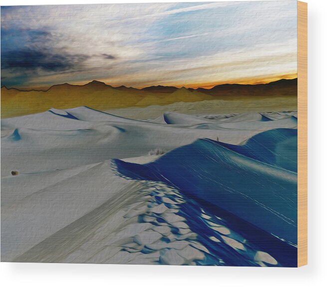 Death Valley National Park Wood Print featuring the photograph Been Through The Desert by Joe Schofield