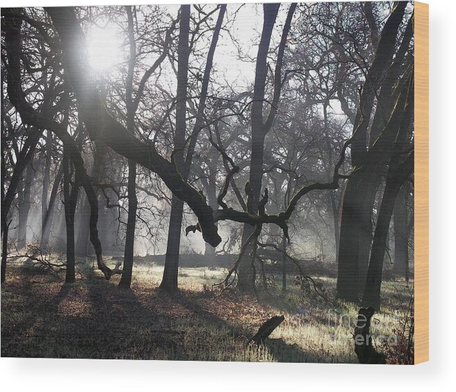Landscape Wood Print featuring the photograph Bidwell Park Sunrise by Richard Verkuyl