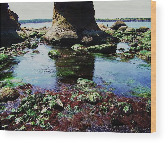 Ocean Wood Print featuring the photograph Big Foot by Julie Rauscher