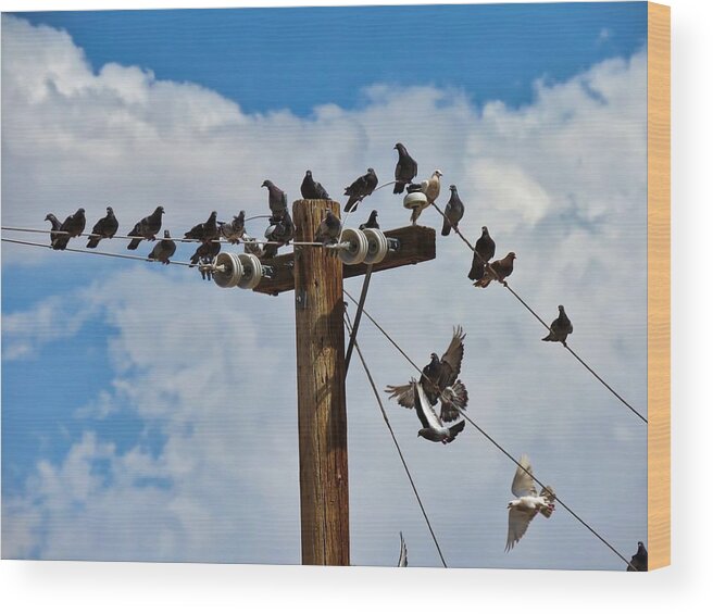 Arizona Wood Print featuring the photograph Birds on a Wire by Judy Kennedy