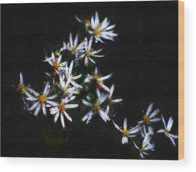 Digital Photograph Wood Print featuring the digital art Black and white study II by David Lane