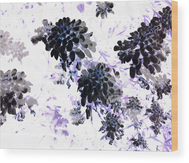 Orphelia Aristal Wood Print featuring the photograph Black Blooms I by Orphelia Aristal