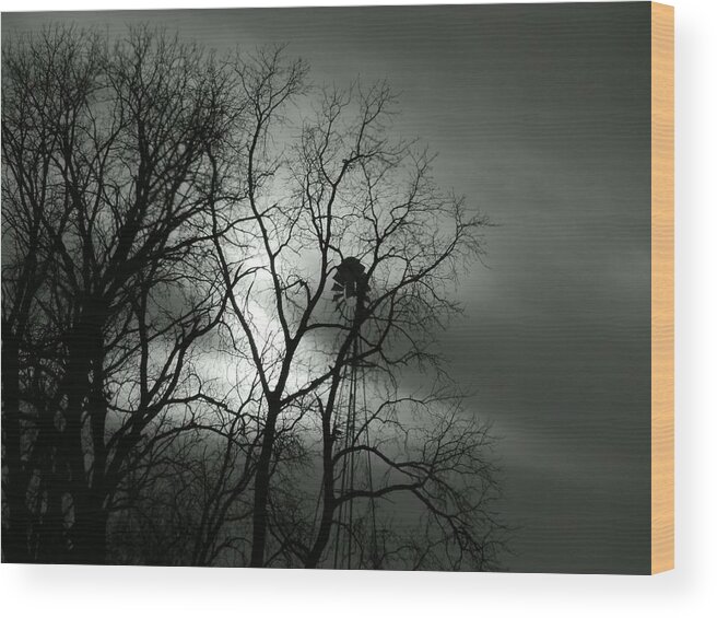 Winter Wood Print featuring the photograph Black Mill by Wild Thing