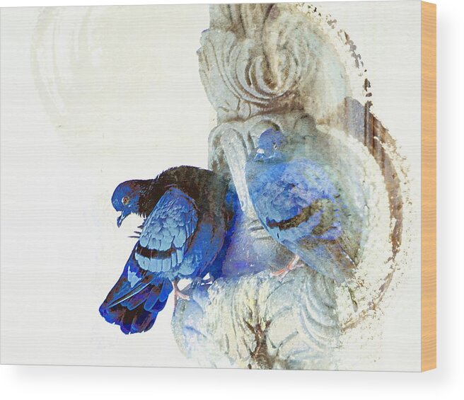 Blue Wood Print featuring the photograph Blue Abstract Exotic Travel Pigeons in Palaces India Rajasthan 5a by Sue Jacobi