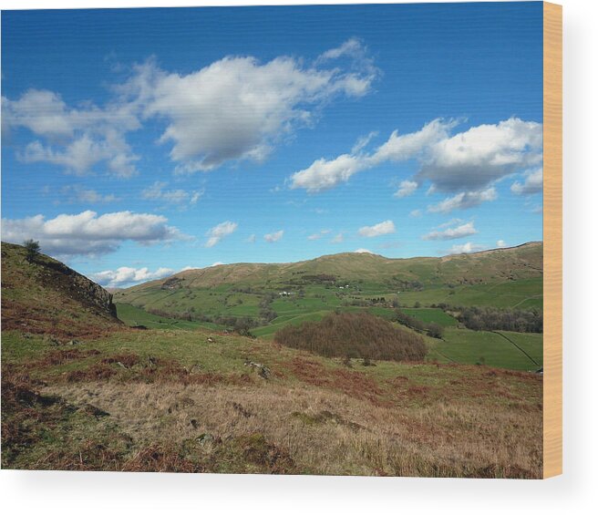 Sky Wood Print featuring the photograph Blue sky at mountains by Lukasz Ryszka
